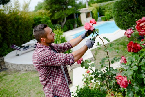Front view of gardener assessing a residential garden