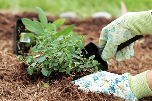 Gardener pruning a communal garden in Wembley Park