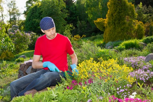 Professional hedge trimming and team with safety gear in a residential garden
