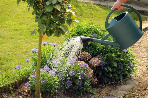 Final accessible gardening setup in a Wembley garden