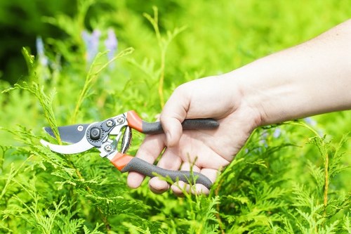 Gardener performing remedial pruning work