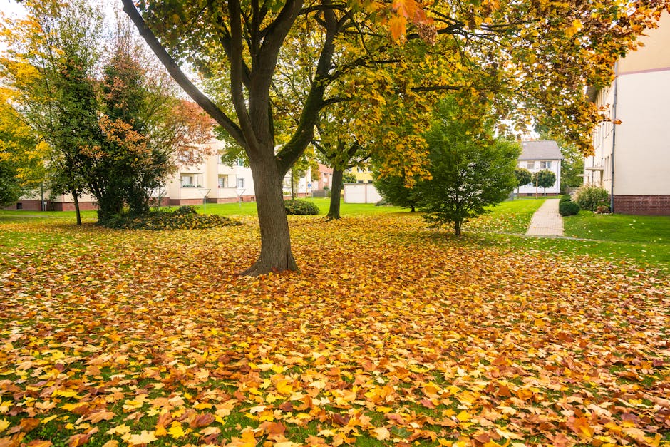 A landscaped communal outdoor space featuring a large deciduous tree with branches extending outward, its leaves displaying vibrant autumn colors of orange, yellow, and green. The ground is blanketed