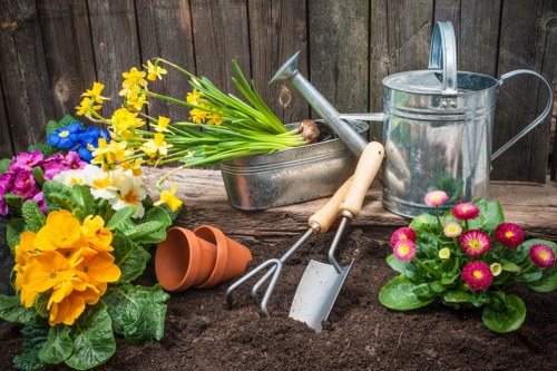 Lush Wembley garden with vibrant plants