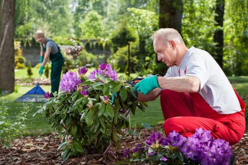 Professional gardeners at work in Wembley